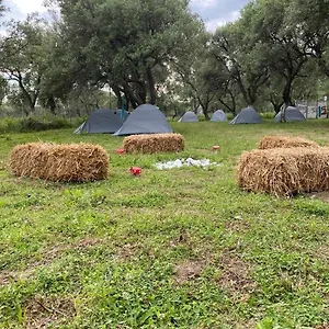Cika's Camping Glamping Borsh